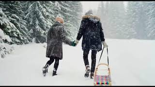 Виктор Горшков. Снегопад.  Victor Gorshkov. Snowfall.