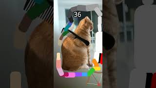 phase100 dos pentes pois usei um arco