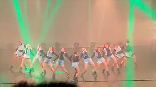 Team Salut - Boom Bam | THE ROYAL FAMILY NZ TOUR