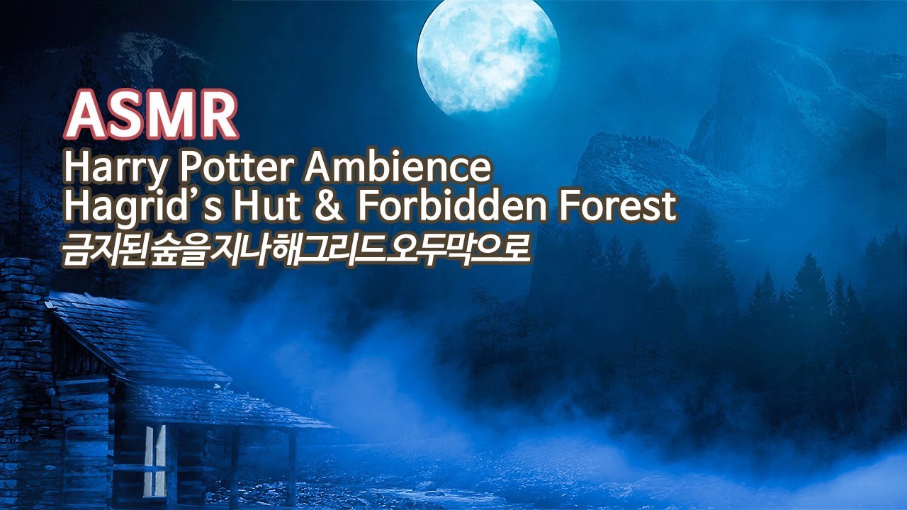ASMR 금지된 숲을 지나 해그리드의 오두막으로●공부할 때 듣는 해리 포터 분위기 입체음향 | Hagrid's Hut & Forbidden Forest Study Ambience