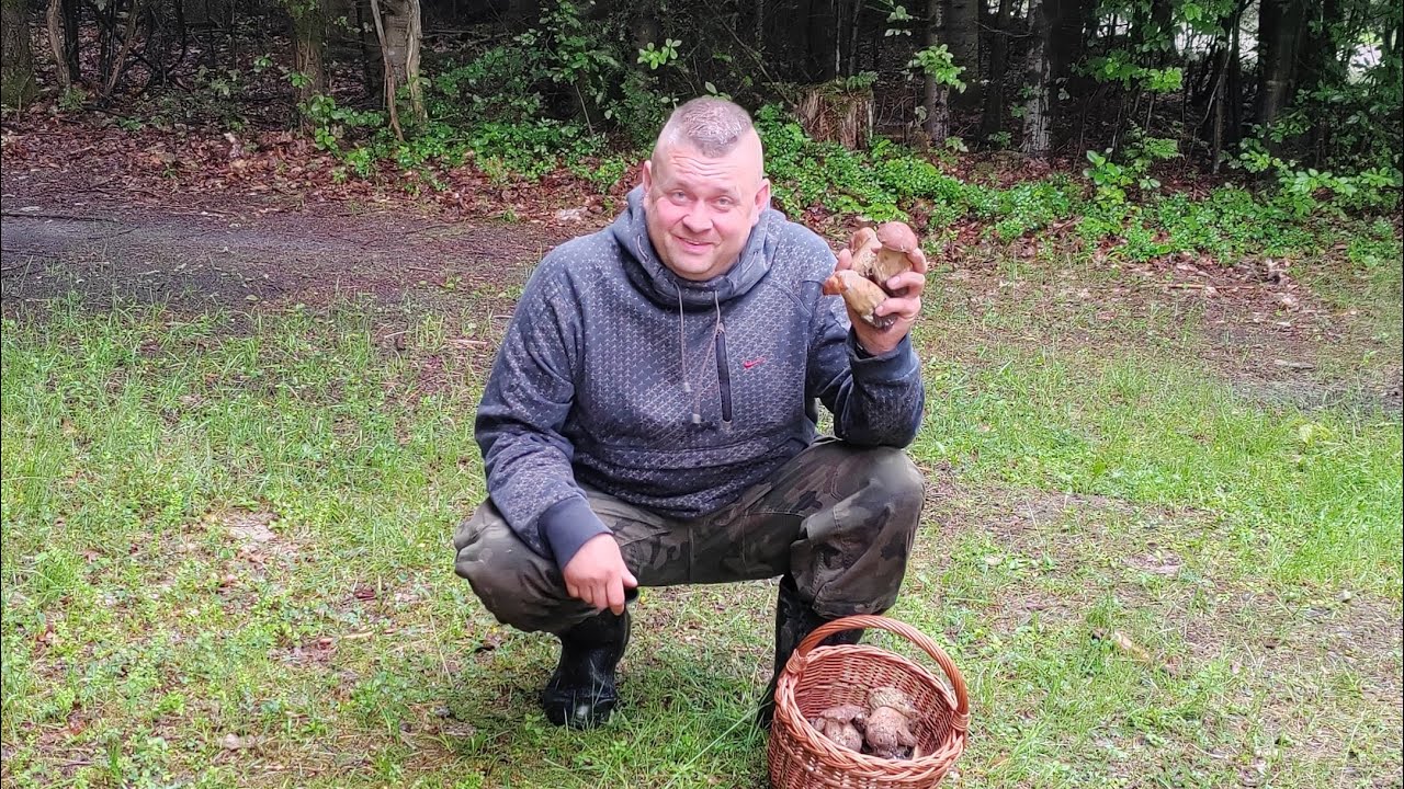 FANTASTYCZNE GRZYBOBRANIE W CZERWCOWY DESZCZOWY PORANEK