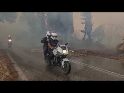 Video: Si Të Shmangni Një Zjarr Në Pyll