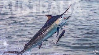 Fishing The Great Barrier Reef For Black Marlin - Part 2