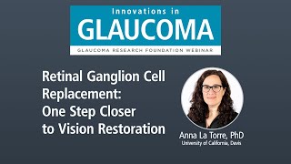 Retinal Ganglion Cell Replacement: One step closer to Vision Restoration (Webinar)