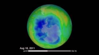 The Ozone Hole: Summer 2011