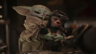 The Mandalorian  Baby Yoda Makes A Friend | S3 E1