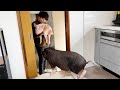 めんべぇを預かることになりました。