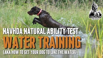 NAVHDA Natural Ability Test: Water Training