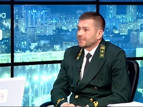 Начальник департамента лесного хозяйства