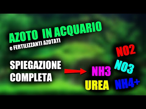 Video: Qual è La Differenza Tra Urea E Nitrato Di Ammonio? In Cosa Differiscono Le Formule? È La Stessa Cosa O No? Cosa C'è Di Meglio?