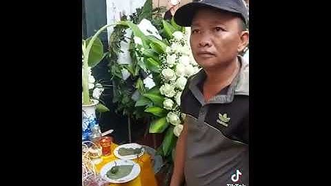 Đám tang của em, trần đức Đô,