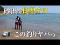 砂浜からこんなチヌが釣れるなんて!?一度は試してみたい渚釣りが楽しすぎる