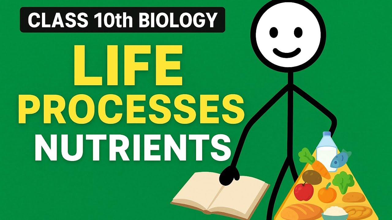 Class 10th Life processes topic nutrients detailed explanations 🔥🔥|| Education Hub 9th and 10th
