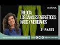 TRILOGÍA. LOS CANALES ENERGÉTICOS: NADIS Y MERIDIANOS