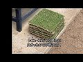 芝の植え方/芝の張り方/手順/DIY（姫高麗芝）