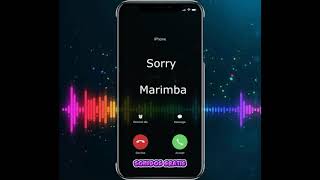 Descargar Sonidos Sorry Marimba Mp3 Gratis Para Celular | Sonidosgratis.net