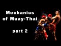 Mechanics of Muay Thai. Part 2