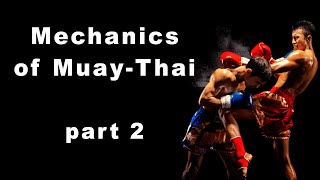 Mechanics of Muay Thai. Part 2