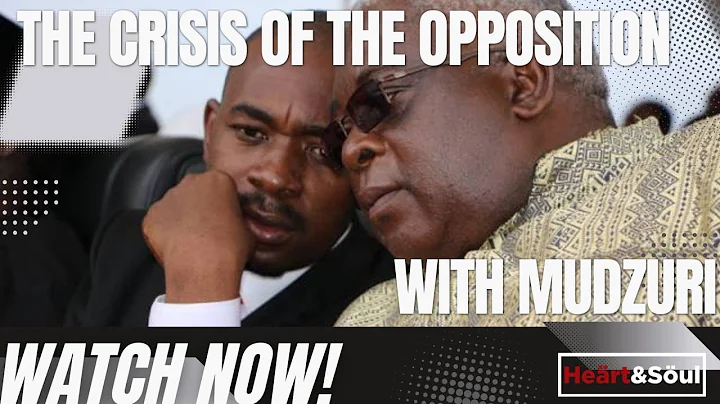 The crisis of the opposition - with Mudzuri #hstvzim