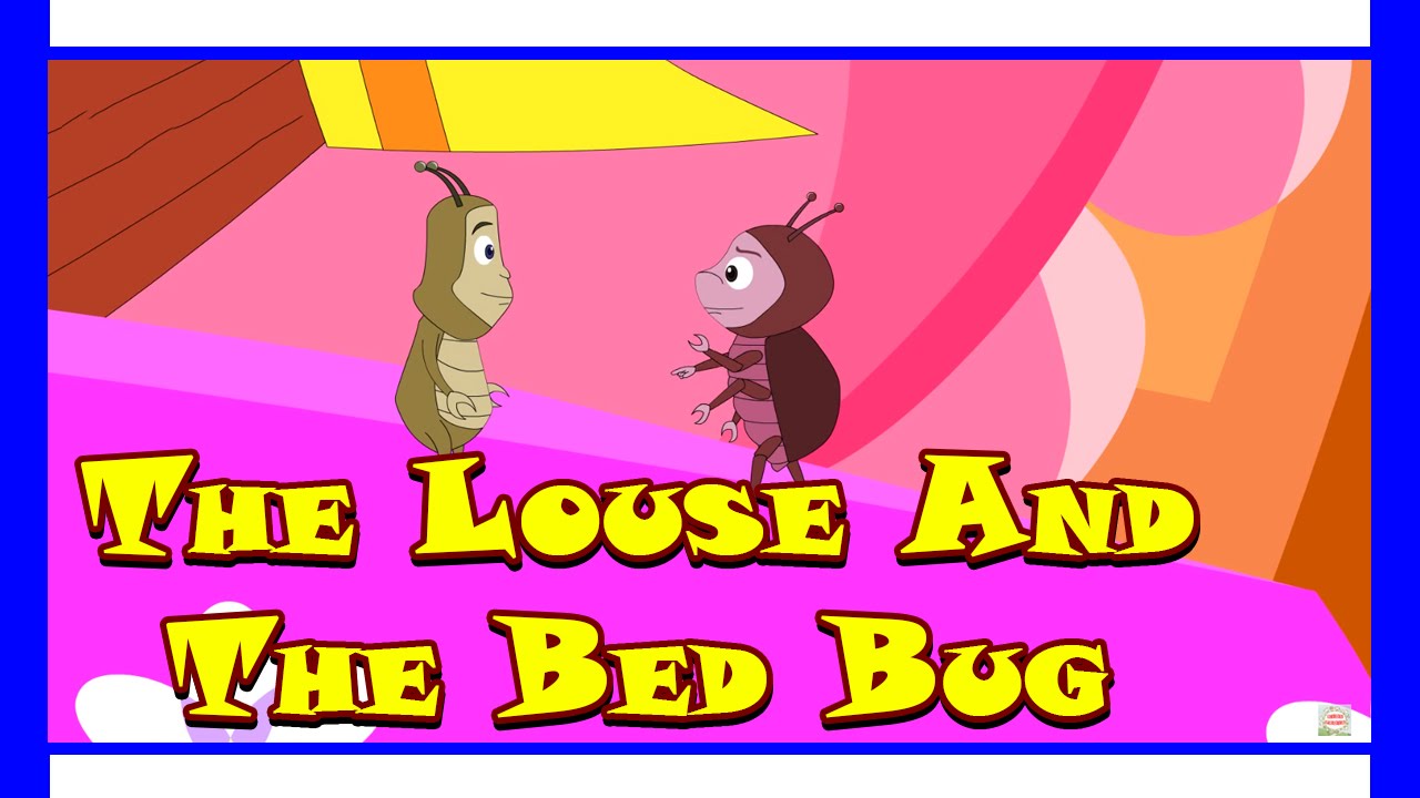 The Louse And The Bed Bug - Animated Short Story For Kids