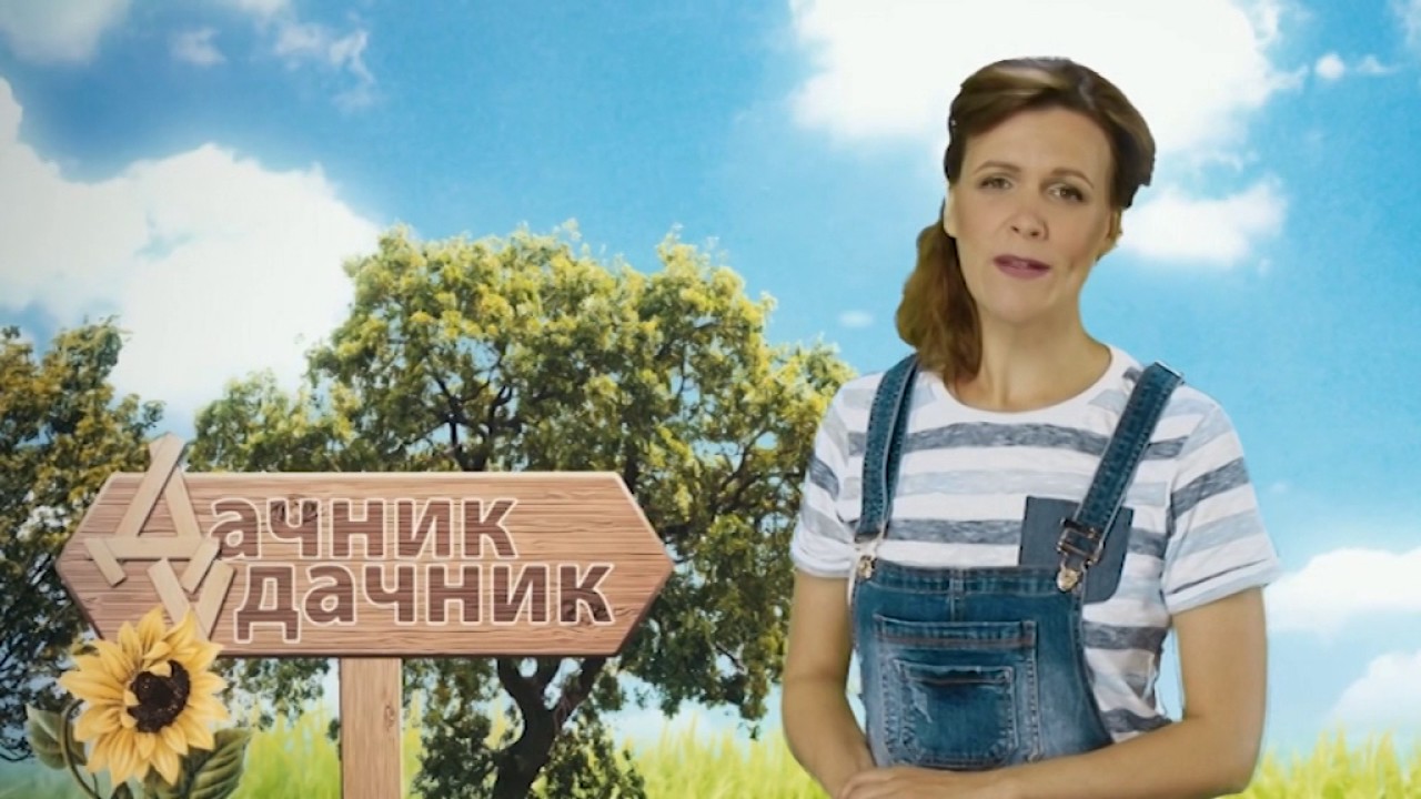 Магазин Удачник Красноярск Елена Стасова Сайт