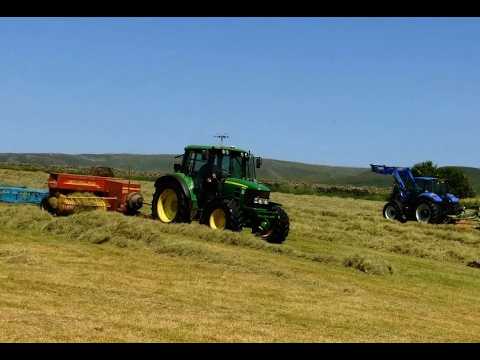 Summer Hay