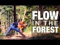 Flow in the Forest Yoga Class - Five Parks Yoga