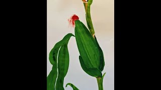 4054929_2009294165033394176.mp4