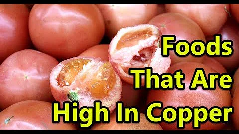 Top 10 Foods Rich In Copper