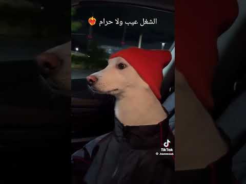 الصبح شقا باور وطاقه اكسبلور ترند ترندات العالم ترندات