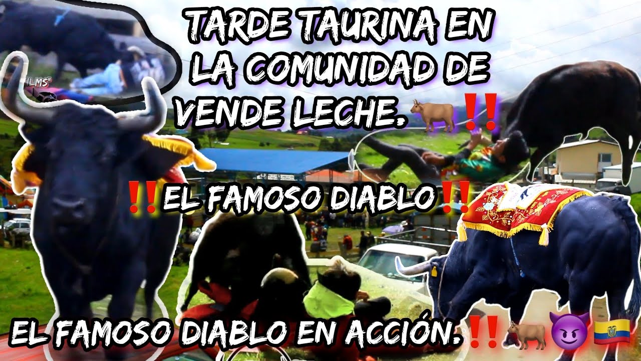 Gran Corrida Taurina en Vende Leche || El Famoso Diablo en acción..‼️🐂🇪🇨😈