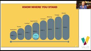 The Valize Innovation Mastery Scale - innovation in practice