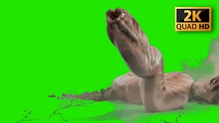 monster green screen animation effects