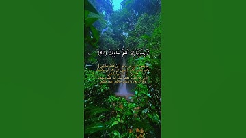 الشيخ حمدي محمود الزامل من سورة الواقعه#قران_كريم #قرآن