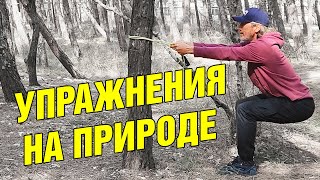 Пять упражнений на улице возле дерева для тех кому за 60 | Зарядка на природе