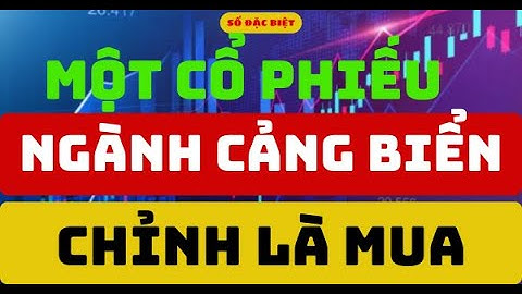Phân tích cổ phiếu:  Một Cổ Phiếu Ngành Cảng Biển Chỉnh là Mua  I Bảo ITP