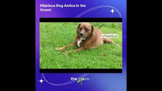 WHAT AN ENDING! Hilarious Dog Antics in the Grass!