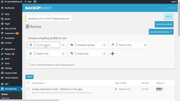 How To Backup The WordPress Database in BackupBuddy