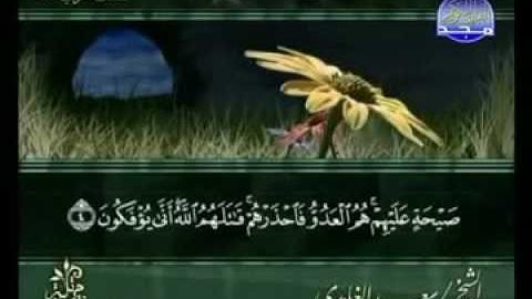 سورة المنافقون الشيخ سعد الغامدي swrah al munafiqun. saad alghamdi