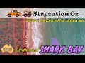 EP23: Sensational Shark Bay | Denham, Francois Peron National Park, Monkey Mia | Lap of Australia