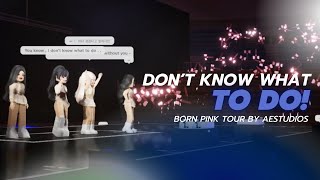 BLACKPINK: Don’t Know What To Do - Live (Born Pink Tour By aestudios)