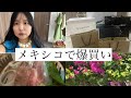 メキシコの代官山で爆買いしてみた