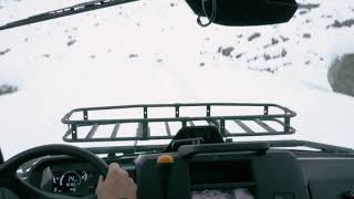 Gator Teaser