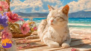 17 HOUR Cat Music - Lullaby to Soothe Anxiety, Boredom and Stress in Cats 🎵🐈 screenshot 4