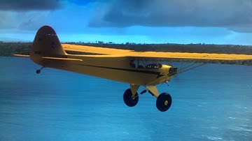 Piper Cub with tundras tire Landing on Turf runway