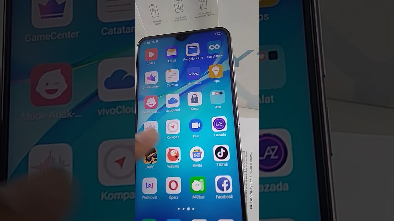 Hp Vivo y19 6/128Gb (115020191215004) 
