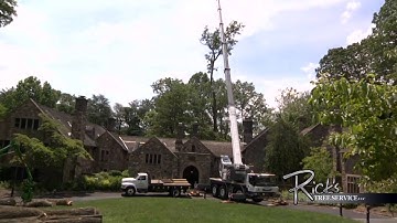 This video demonstrates a time lapse tree removal with the use of our Grove GMK3055 60 ton crane.