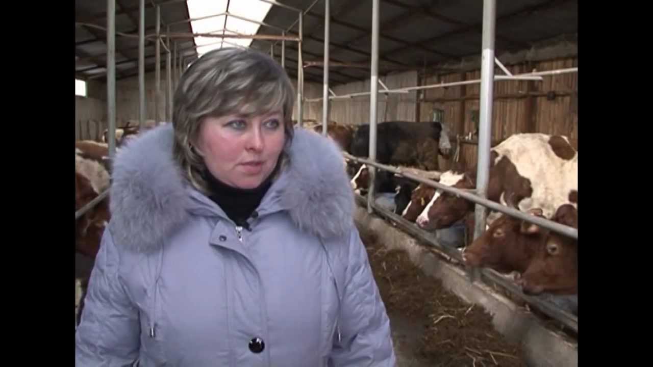 "Sel'skij porjadok" (part2) 27 february 2013