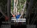 Уже завтра бесплатный практикум для родителей! Ссылка для регистрации в описании канала #семья
