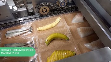 Thermoforming machine by Mecapack